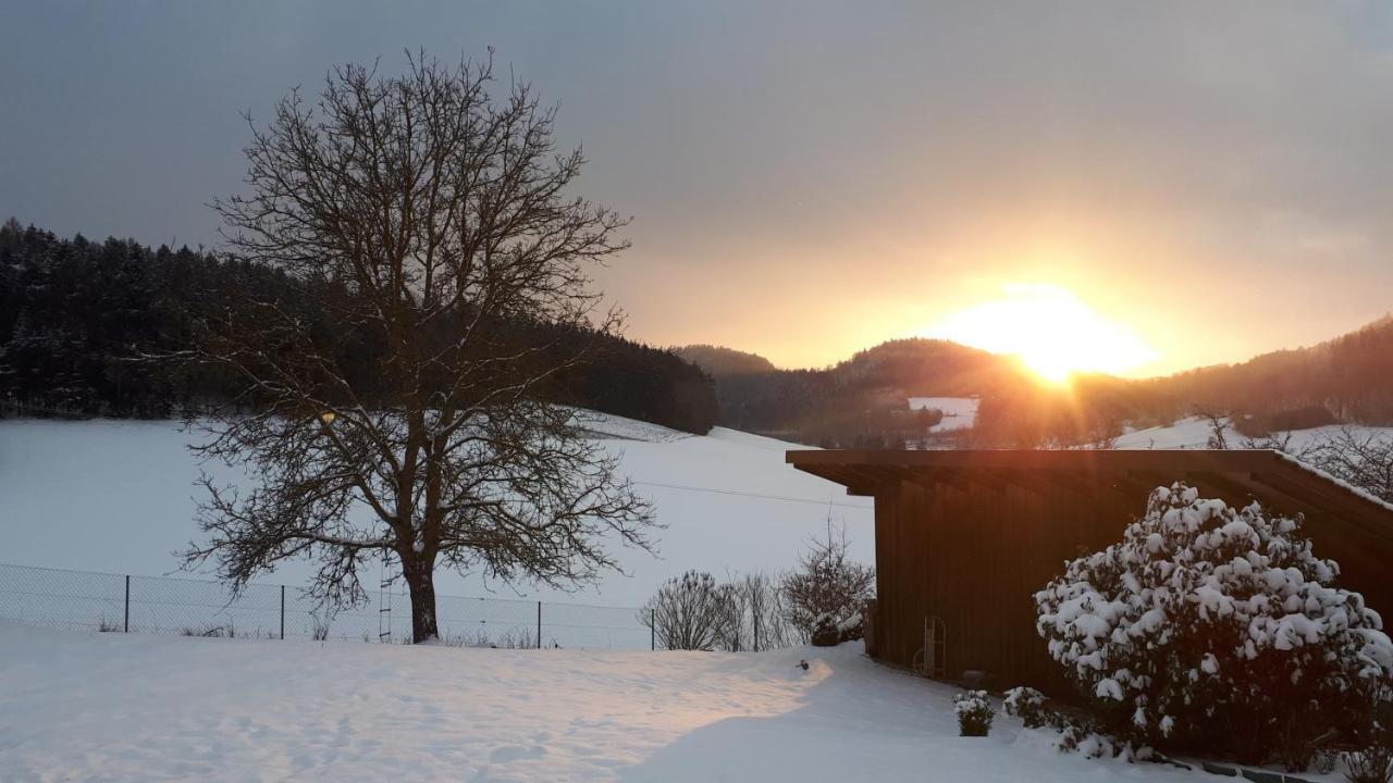 Ferienwohnung Eichkatzel Zell Bagian luar foto